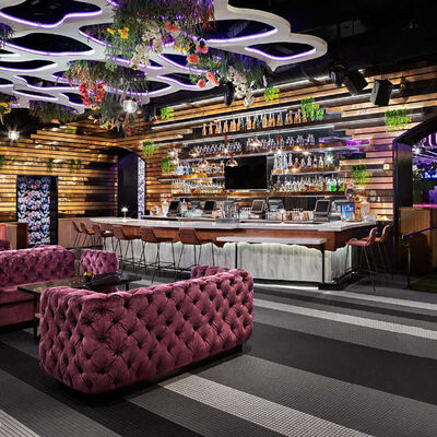 Velvet Purple Club Lounge Sofa Classic Button Tufting Bistro Sofa